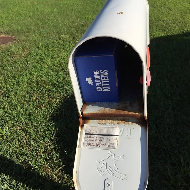 Kittens are ready to explode!